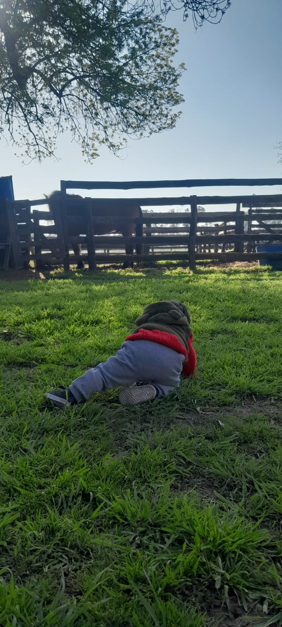 WhatsApp Image 2025-09-07 at 00.20.361.jpeg